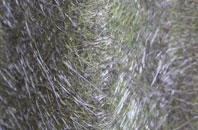 Sandleheath fibreglass roof work